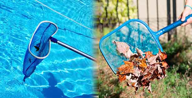 Recogedores de hojas para piscinas.